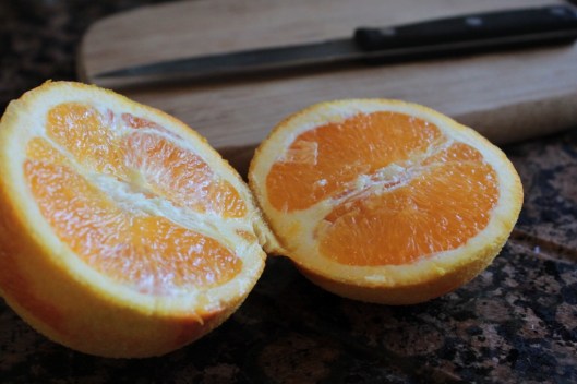 015 (1024x683) - Copy