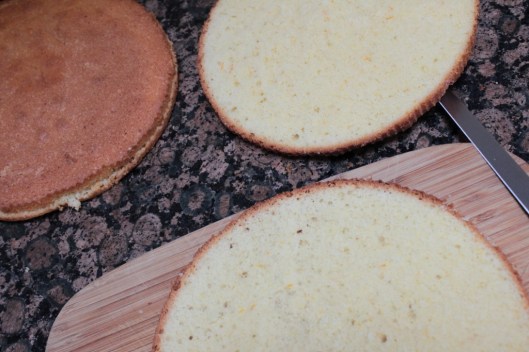 029 (1024x683) - Copy