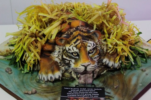 The Cake Illisionist