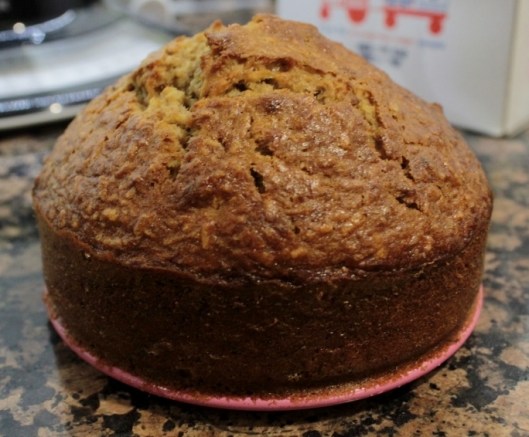 pumpkin banana & coconut cake