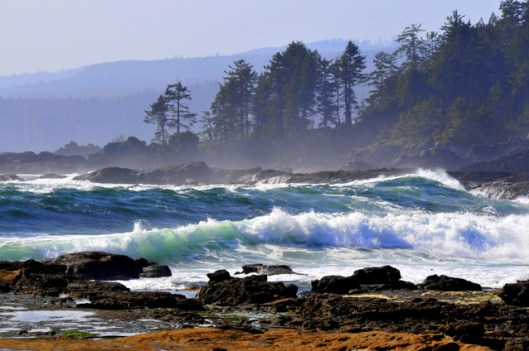vancouver-island-canada-river