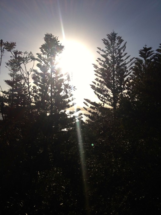 watsons bay australia