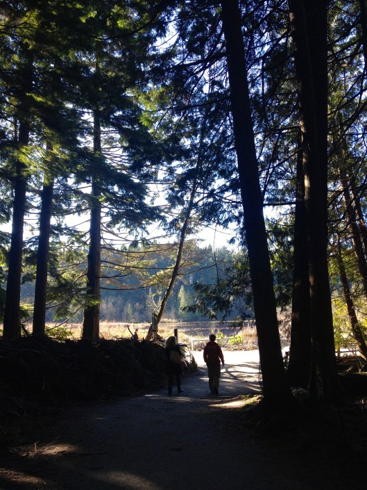 Stanley Park_Vancouver