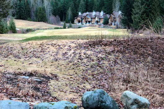 Beautiful House Whistler