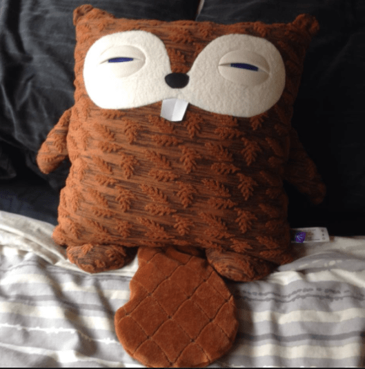 Beaver Pillow