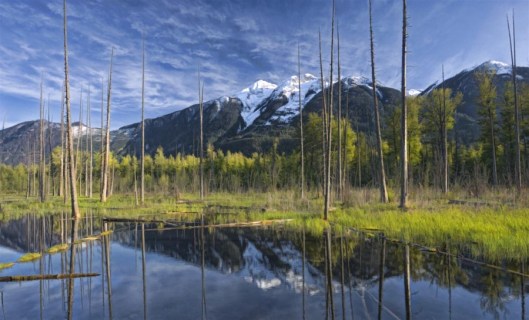 Here's an example of one of his paintings