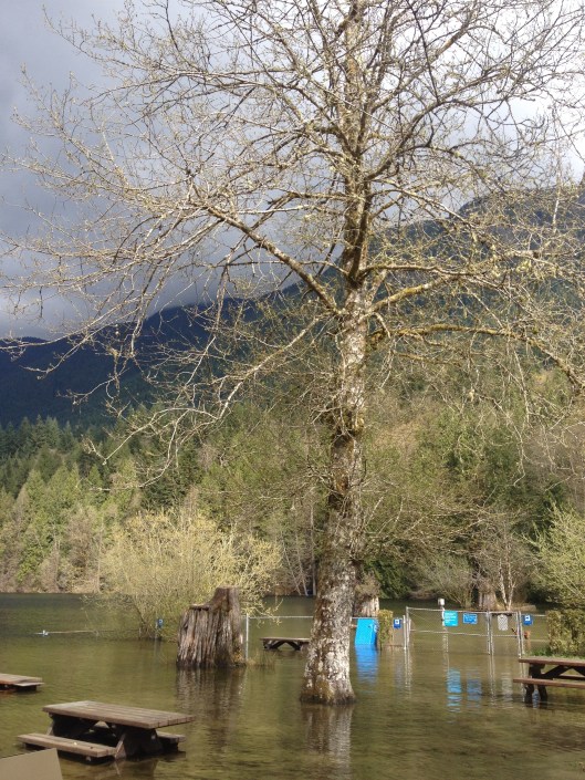 Buntzen Lake_Greater Vancouver