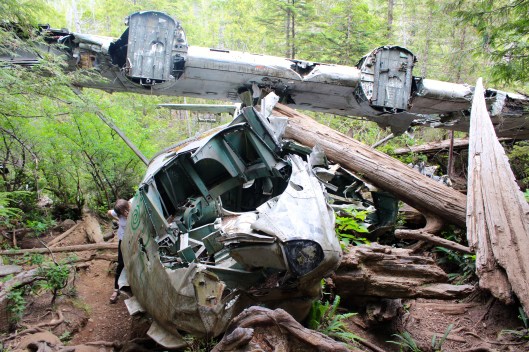 plane tofino trail